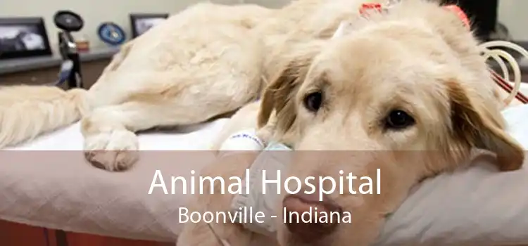 Animal Hospital Boonville - Indiana