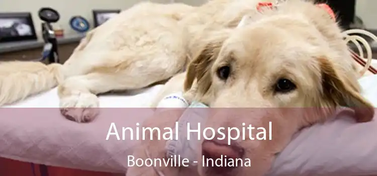 Animal Hospital Boonville - Indiana