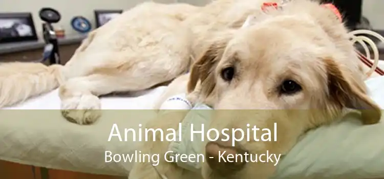 Animal Hospital Bowling Green - Kentucky