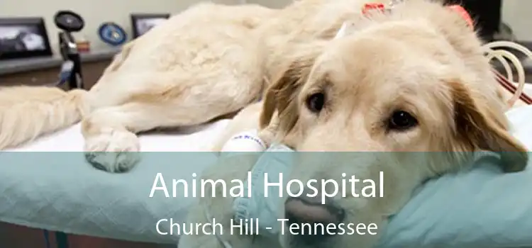 Animal Hospital Church Hill - Tennessee