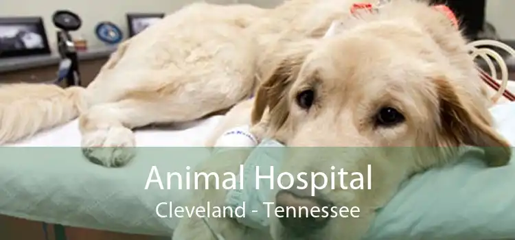 Animal Hospital Cleveland - Tennessee