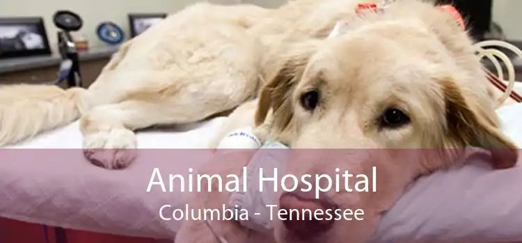 Animal Hospital Columbia - Tennessee