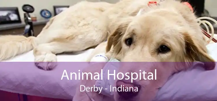 Animal Hospital Derby - Indiana