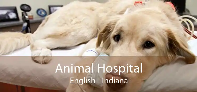 Animal Hospital English - Indiana