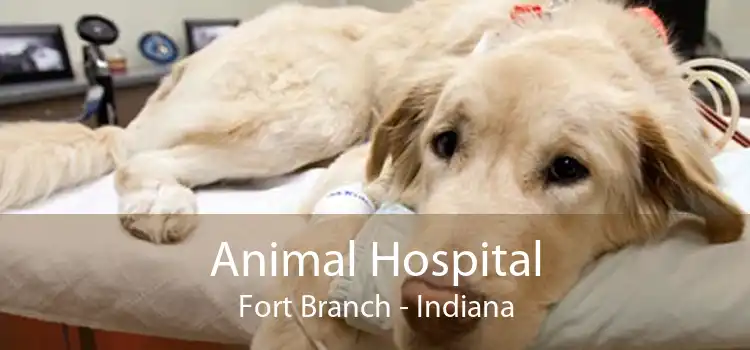 Animal Hospital Fort Branch - Indiana