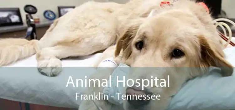 Animal Hospital Franklin - Tennessee