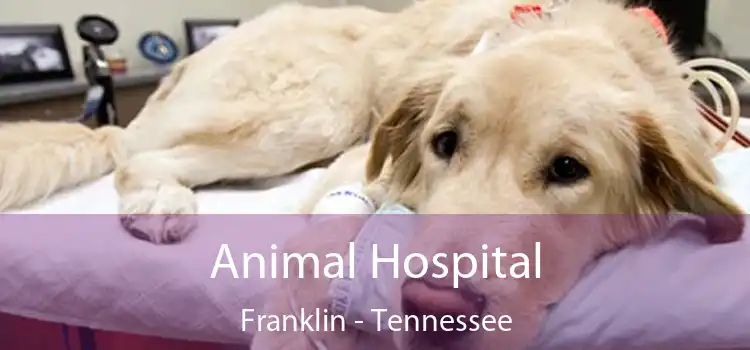 Animal Hospital Franklin - Tennessee