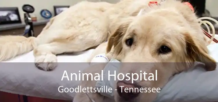 Animal Hospital Goodlettsville - Tennessee