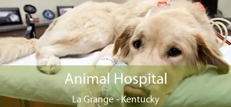 Animal Hospital La Grange - Kentucky