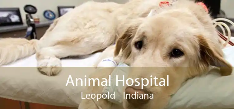 Animal Hospital Leopold - Indiana