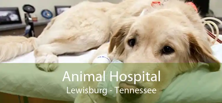Animal Hospital Lewisburg - Tennessee