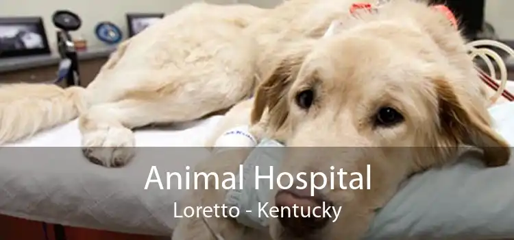 Animal Hospital Loretto - Kentucky