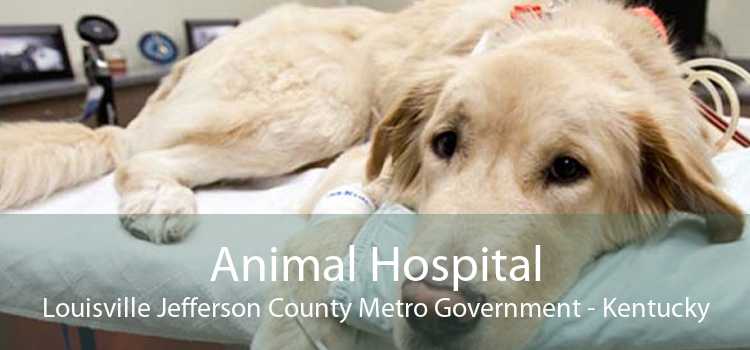 Animal Hospital Louisville Jefferson County Metro Government - Kentucky