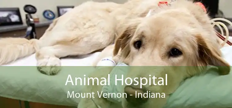 Animal Hospital Mount Vernon - Indiana