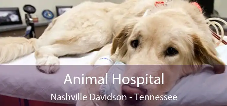 Animal Hospital Nashville Davidson - Tennessee