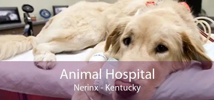Animal Hospital Nerinx - Kentucky