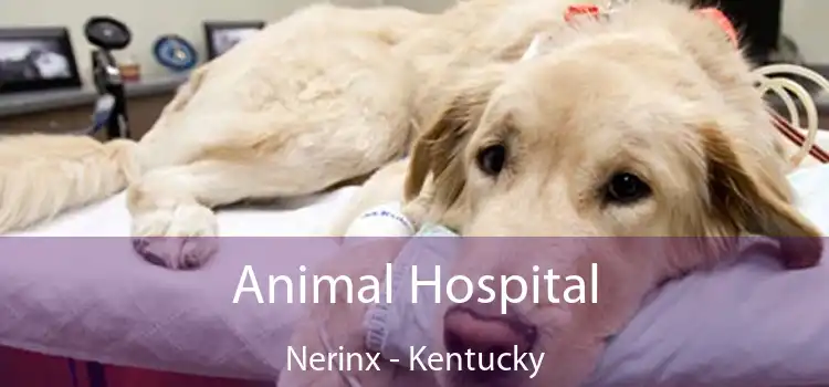 Animal Hospital Nerinx - Kentucky