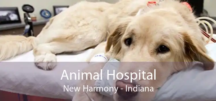 Animal Hospital New Harmony - Indiana
