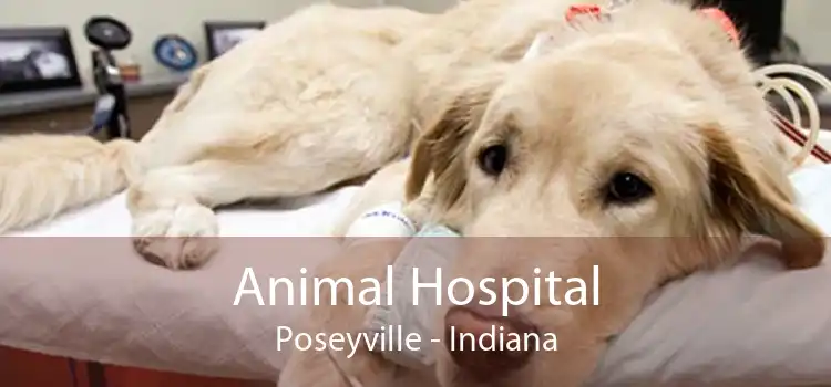 Animal Hospital Poseyville - Indiana