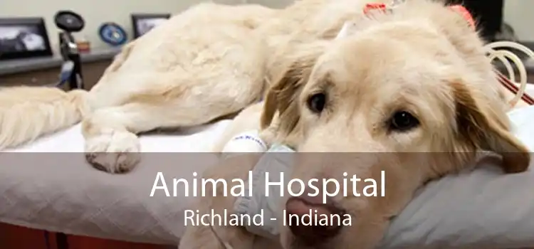 Animal Hospital Richland - Indiana