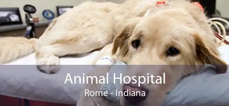 Animal Hospital Rome - Indiana