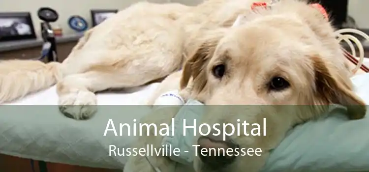Animal Hospital Russellville - Tennessee