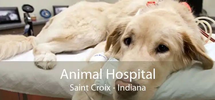 Animal Hospital Saint Croix - Indiana