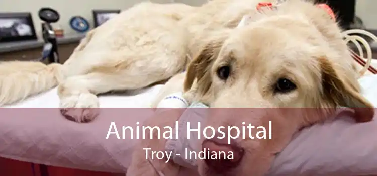 Animal Hospital Troy - Indiana