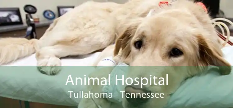 Animal Hospital Tullahoma - Tennessee