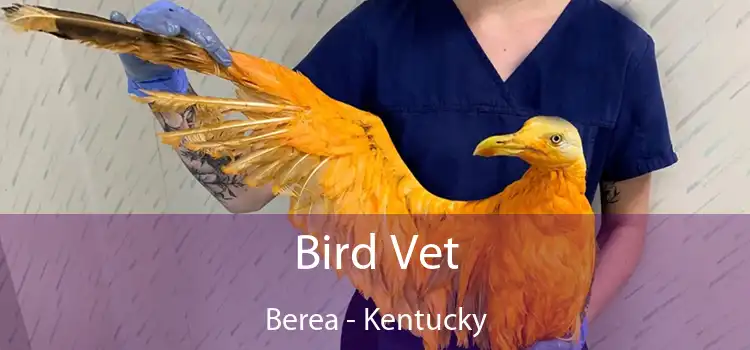 Bird Vet Berea - Kentucky