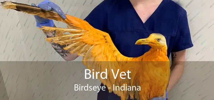 Bird Vet Birdseye - Indiana