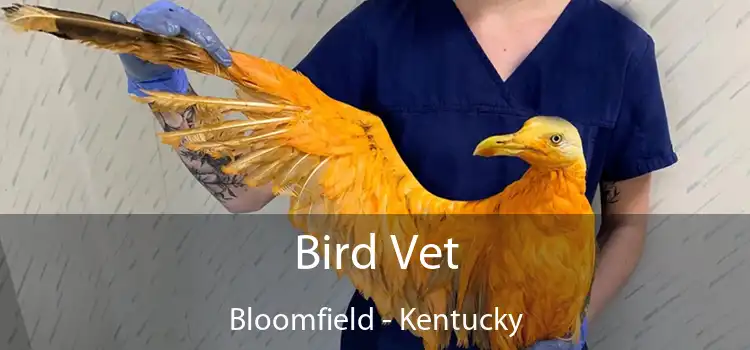 Bird Vet Bloomfield - Kentucky