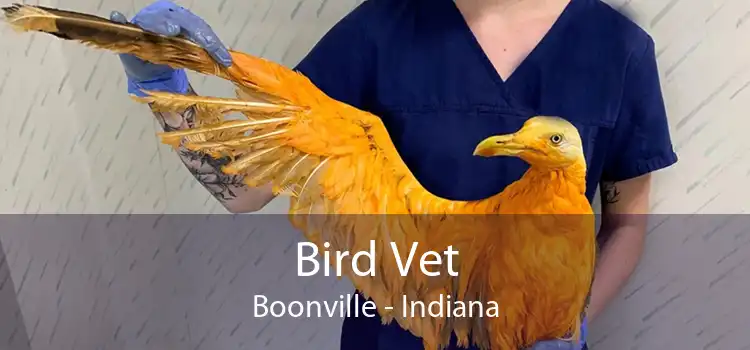 Bird Vet Boonville - Indiana