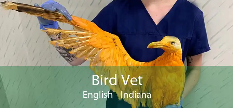 Bird Vet English - Indiana