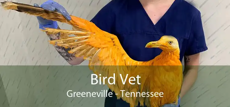 Bird Vet Greeneville - Tennessee
