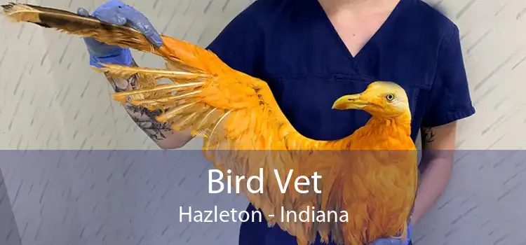 Bird Vet Hazleton - Indiana