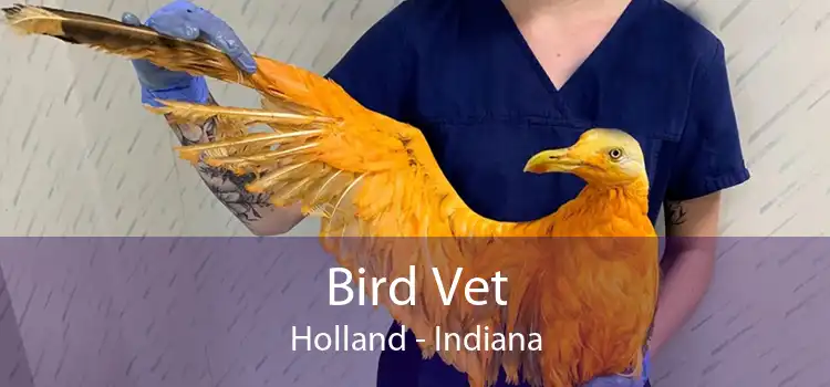 Bird Vet Holland - Indiana