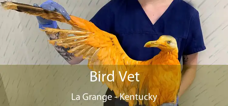 Bird Vet La Grange - Kentucky