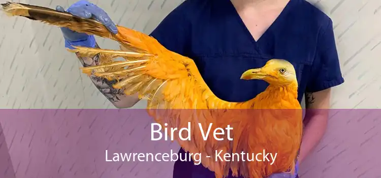 Bird Vet Lawrenceburg - Kentucky