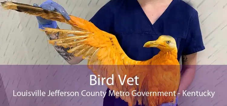 Bird Vet Louisville Jefferson County Metro Government - Kentucky