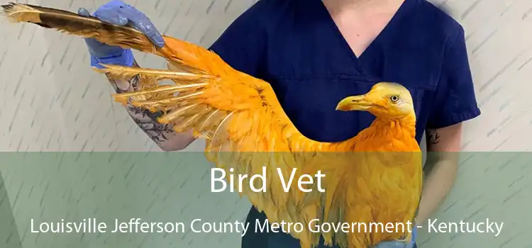 Bird Vet Louisville Jefferson County Metro Government - Kentucky