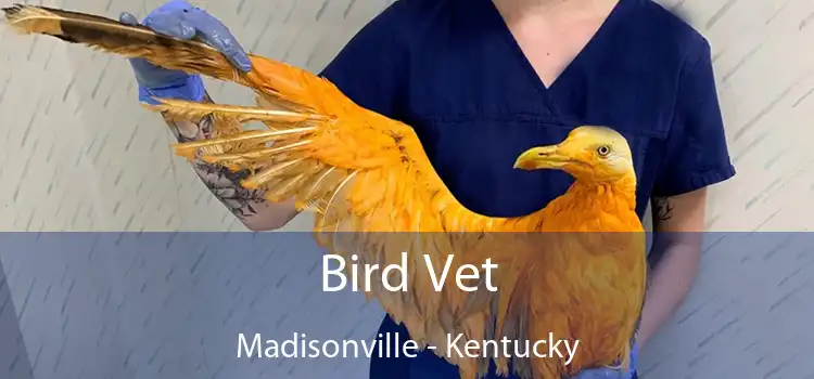 Bird Vet Madisonville - Kentucky