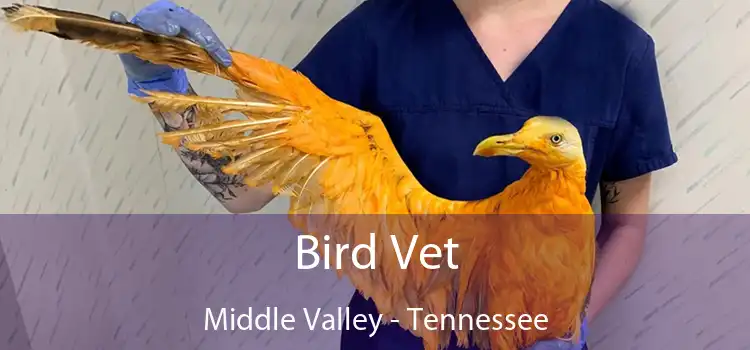 Bird Vet Middle Valley - Tennessee