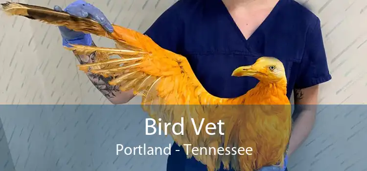 Bird Vet Portland - Tennessee