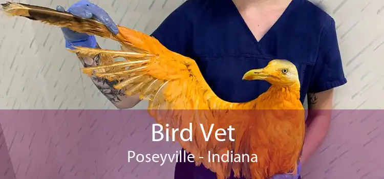 Bird Vet Poseyville - Indiana