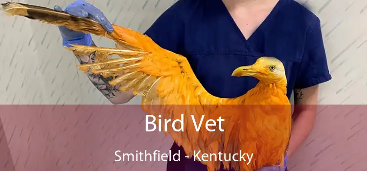 Bird Vet Smithfield - Kentucky