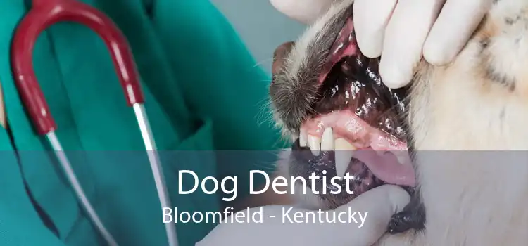 Dog Dentist Bloomfield - Kentucky
