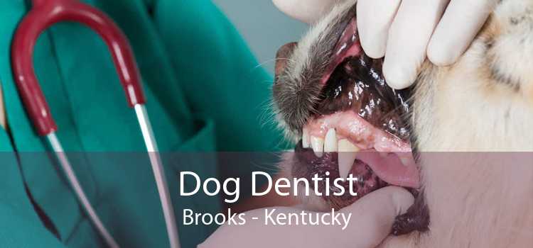 Dog Dentist Brooks - Kentucky