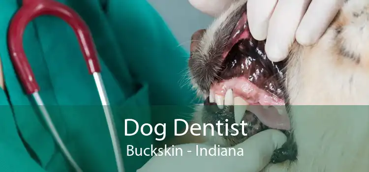Dog Dentist Buckskin - Indiana