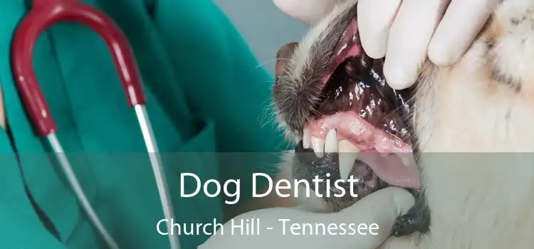 Dog Dentist Church Hill - Tennessee